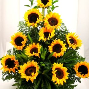 Girasoles – floristería chia