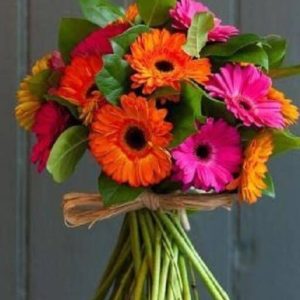 Gerberas – floristería chia